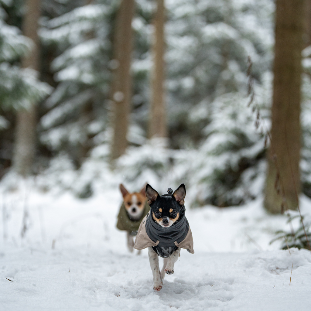 Non-Stop Dogwear Glacier Wool Jacket 3.0