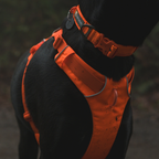 Ruffwear Arnés Front Range