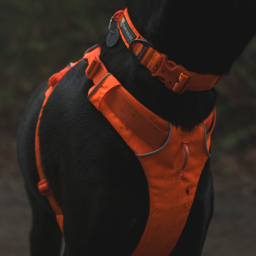 Ruffwear Collar Front Range™