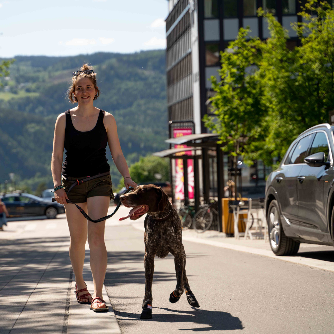 Non-Stop Dogwear Protector Bootie (juego de 4)