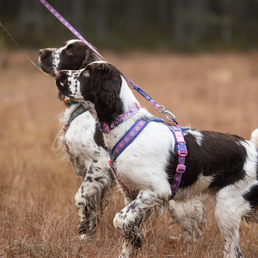 Non-Stop Dogwear Line Harness 5.0