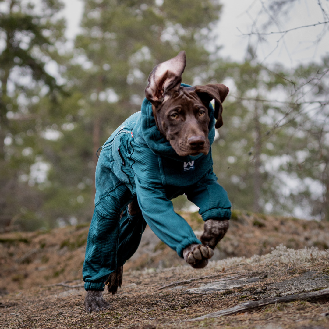 Non-Stop Dogwear Trail Quest Fleece Overall