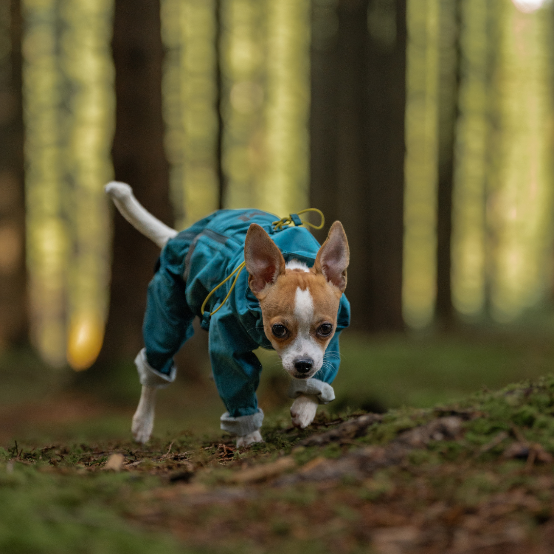 Non-Stop Dogwear Fjord Overall Raincoat