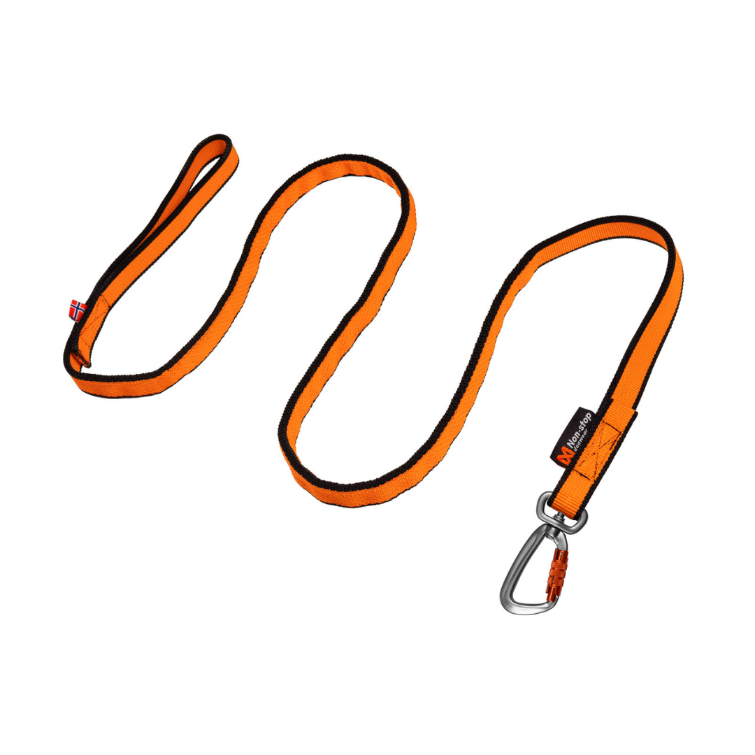Non-stop Dogwear Bungee leash
