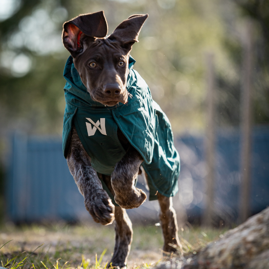 Non-Stop Dogwear Fjord Lined Raincoat