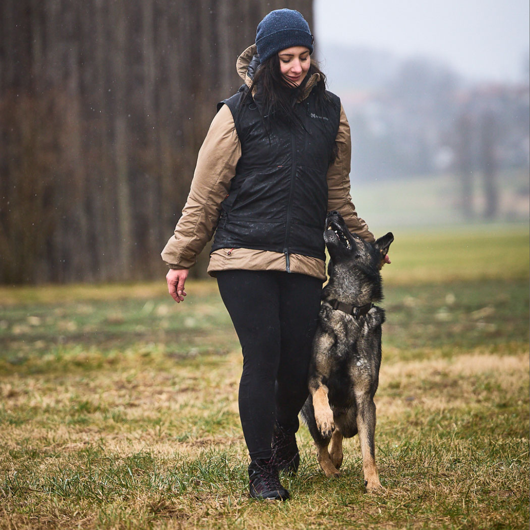 Non-stop Dogwear Solid Adjustable Collar WD