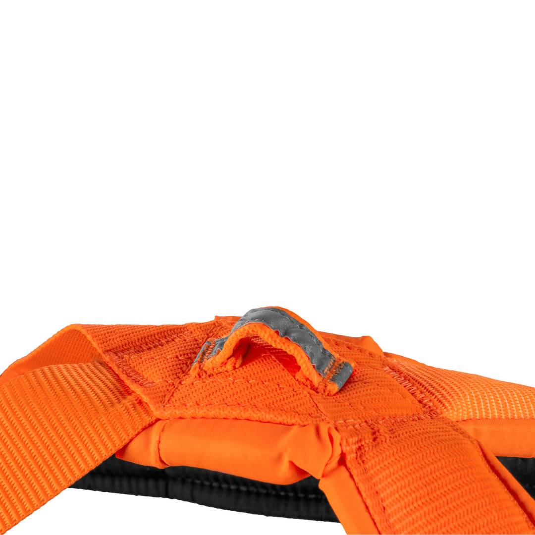 Non-Stop Dogwear Freemotion Harness 5.0