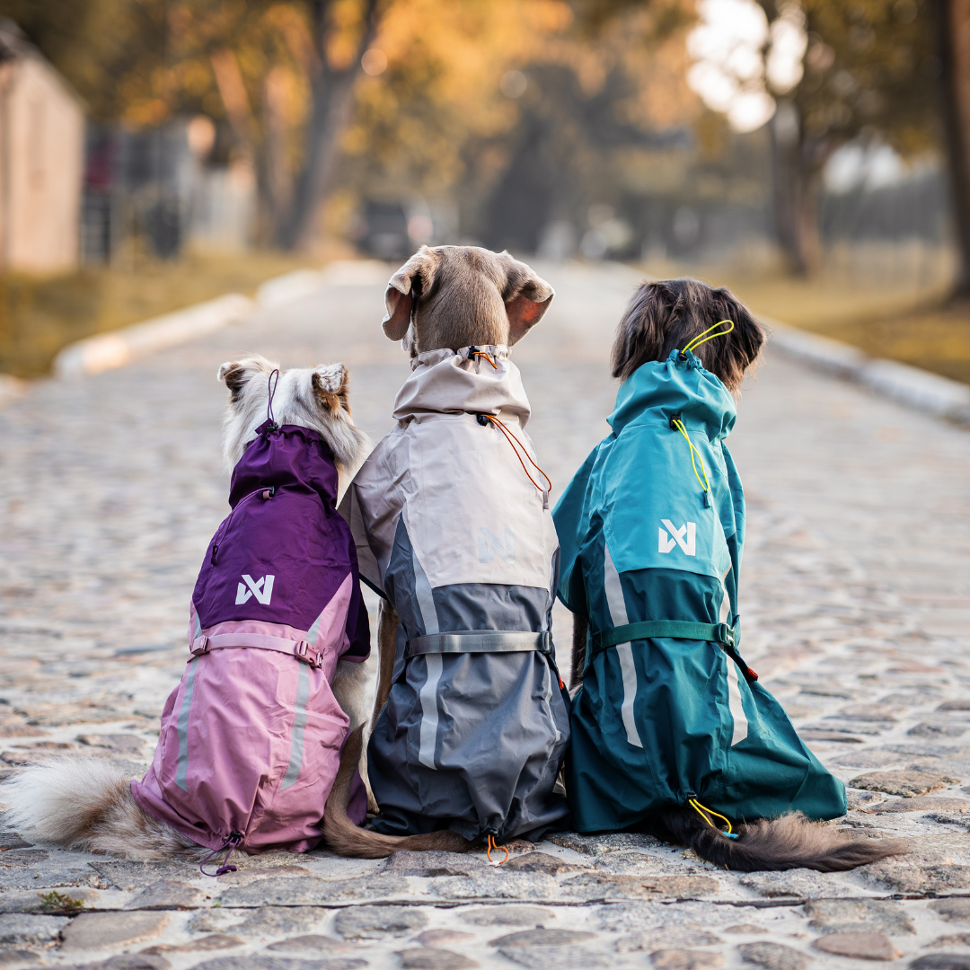 Non-Stop Dogwear Fjord Raincoat 2.0