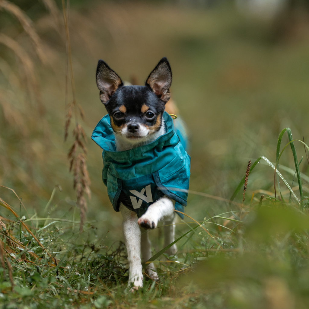 Non-Stop Dogwear Fjord Raincoat 2.0