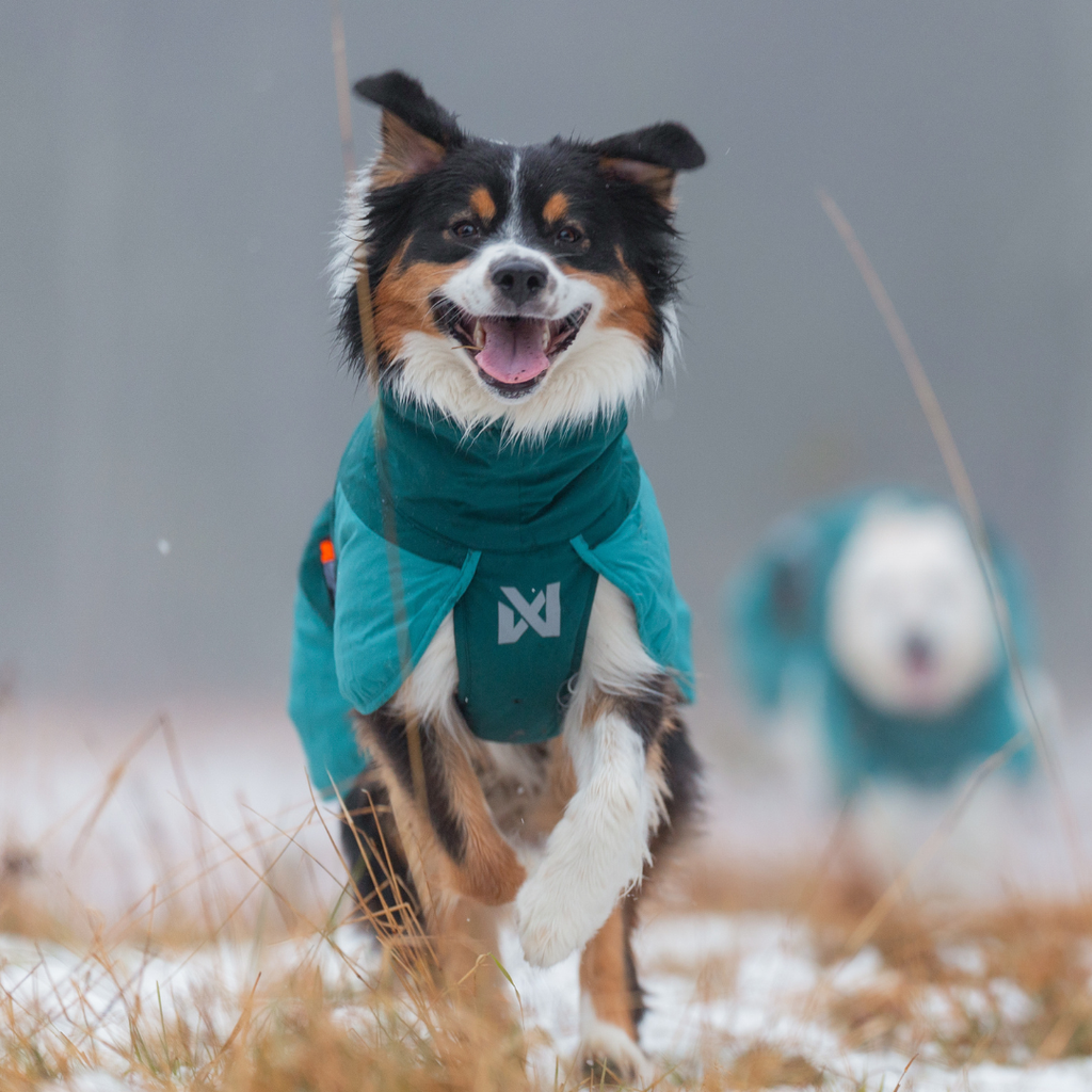 Non-Stop Dogwear Fjord Raincoat 2.0
