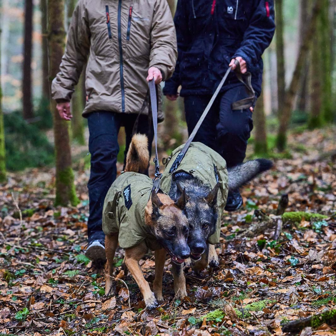 Non-Stop Dogwear Solid Leash WD