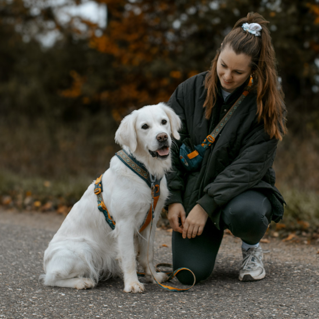 Non-Stop Dogwear Line Harness 5.0