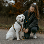 Non-Stop Dogwear Line Harness 5.0