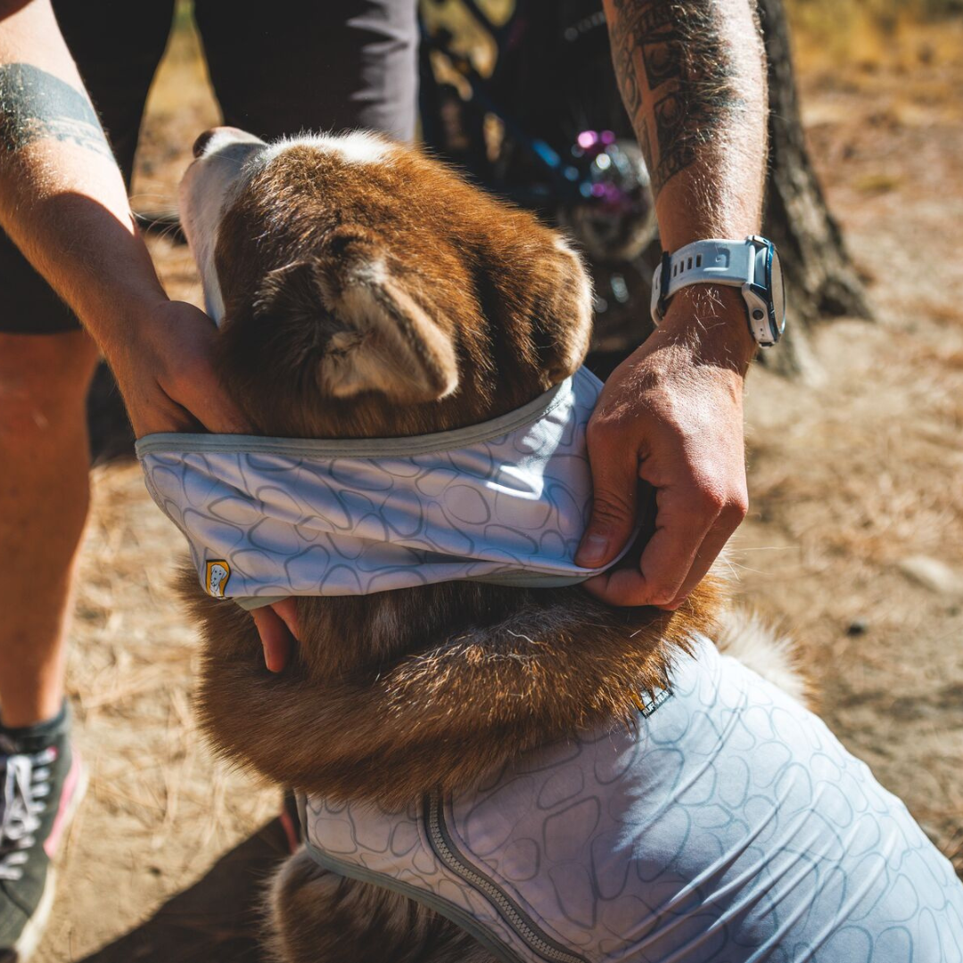 Ruffwear Swamp Cooler Neck Gaiter