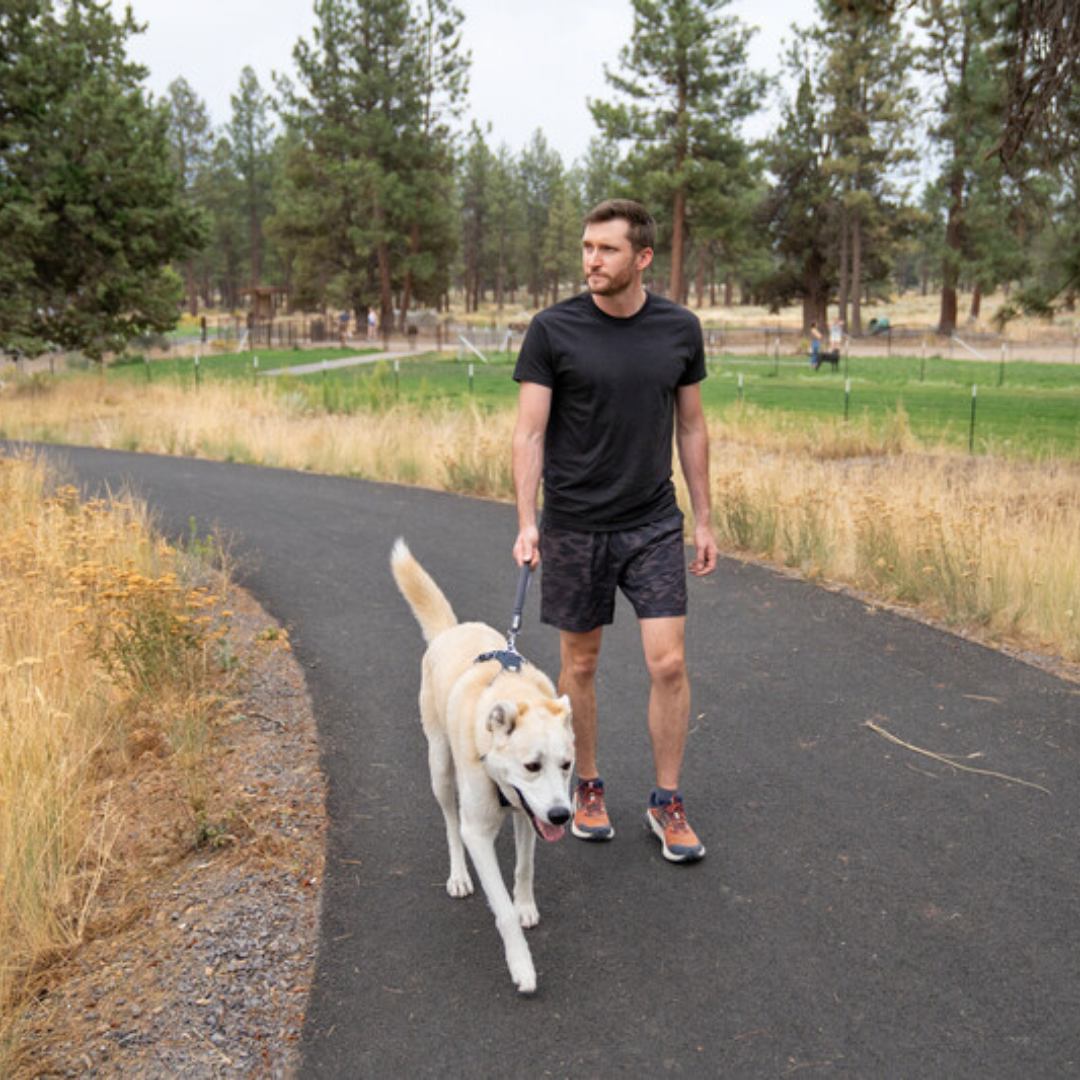 Ruffwear Correa Corta Front Range