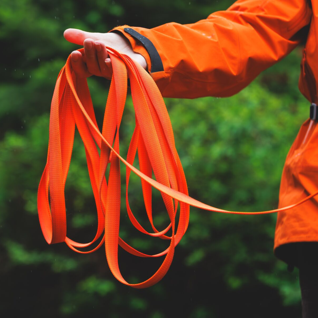 Ruffwear Rogue Long Line