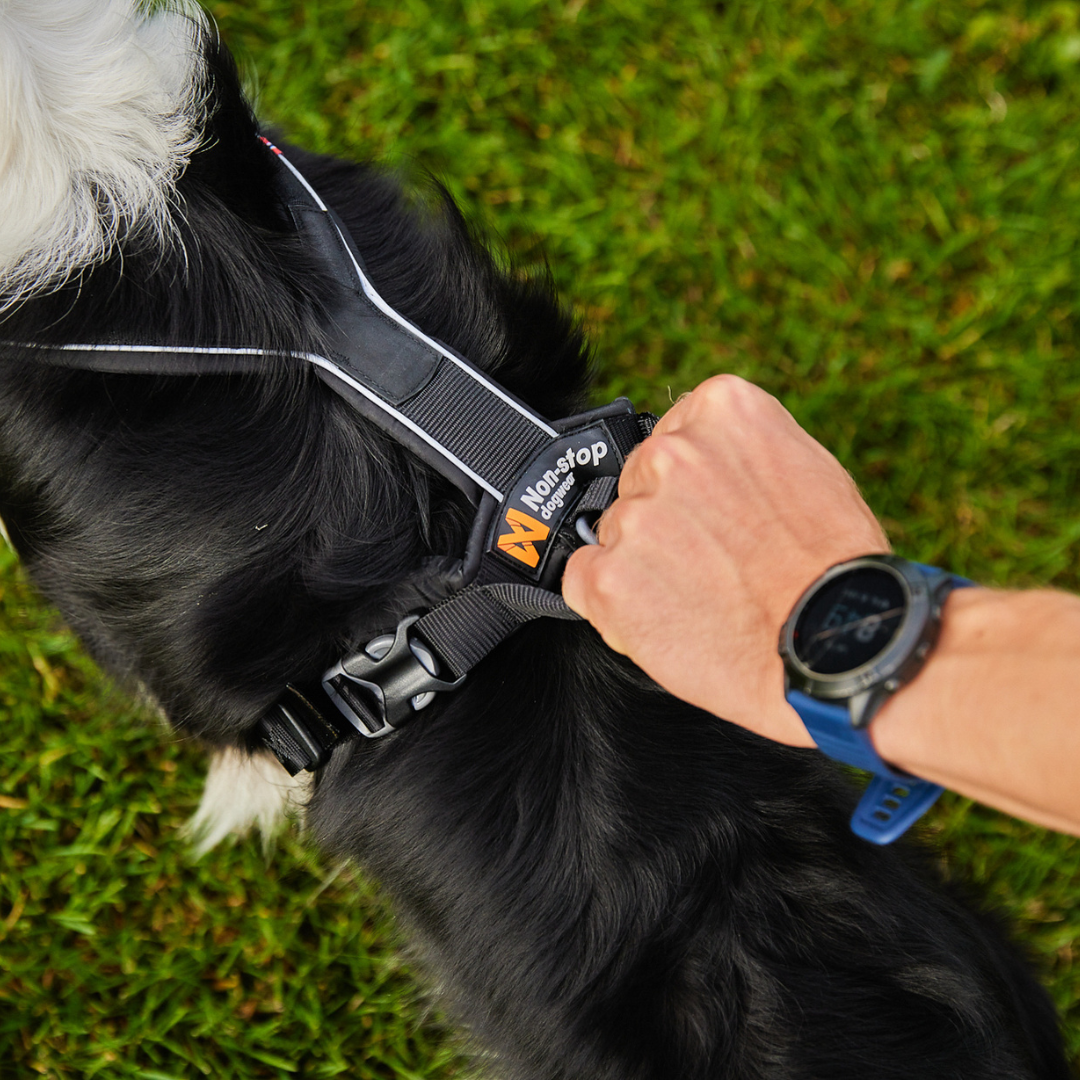 Non-Stop Dogwear Line Harness Grip