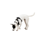 Ruffwear Front Range Flex Harness