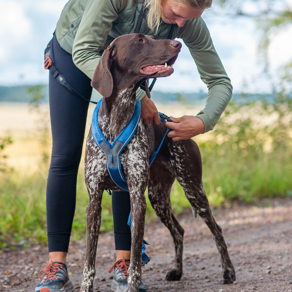 Non-Stop Dogwear Line Harness 5.0