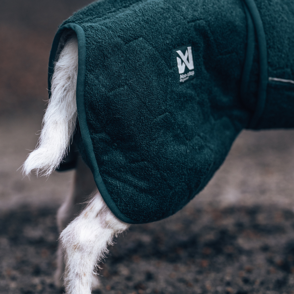 Non-Stop Dogwear Drying Coat