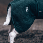 Non-Stop Dogwear Drying Coat