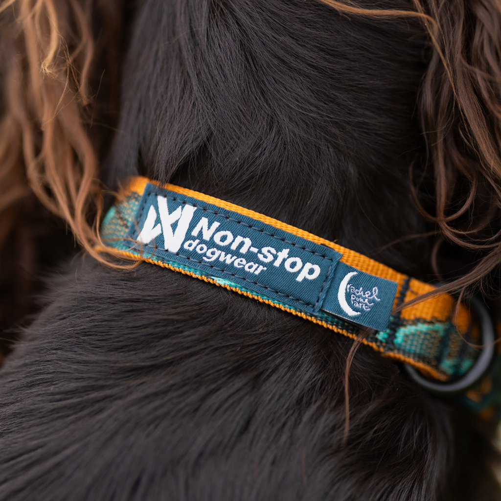 Non-Stop Dogwear Trail Quest Collar Rachel Pohl Edition