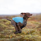 Non-Stop Dogwear Trail Quest Fleece Pullover