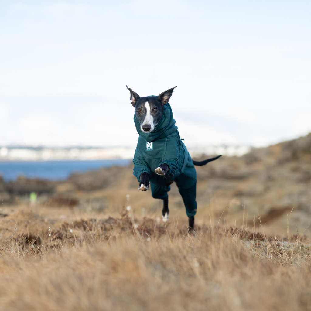 Non-Stop Dogwear Trail Quest Fleece Overall