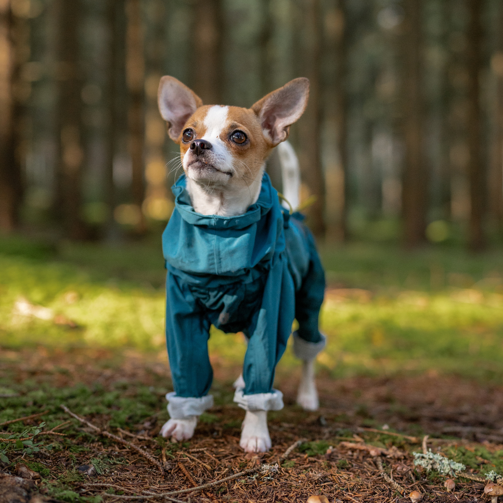 Non-Stop Dogwear Fjord Overall Regenjas