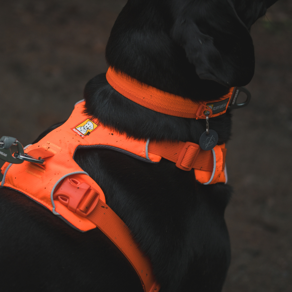 Ruffwear Arnés Front Range