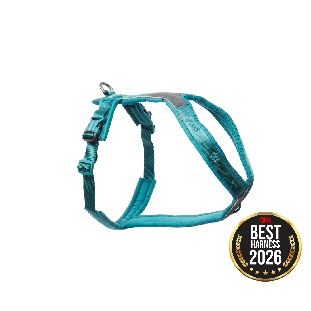Non-Stop Dogwear Line Harness 5.0