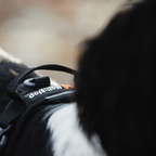 Non-Stop Dogwear Line Harness Grip