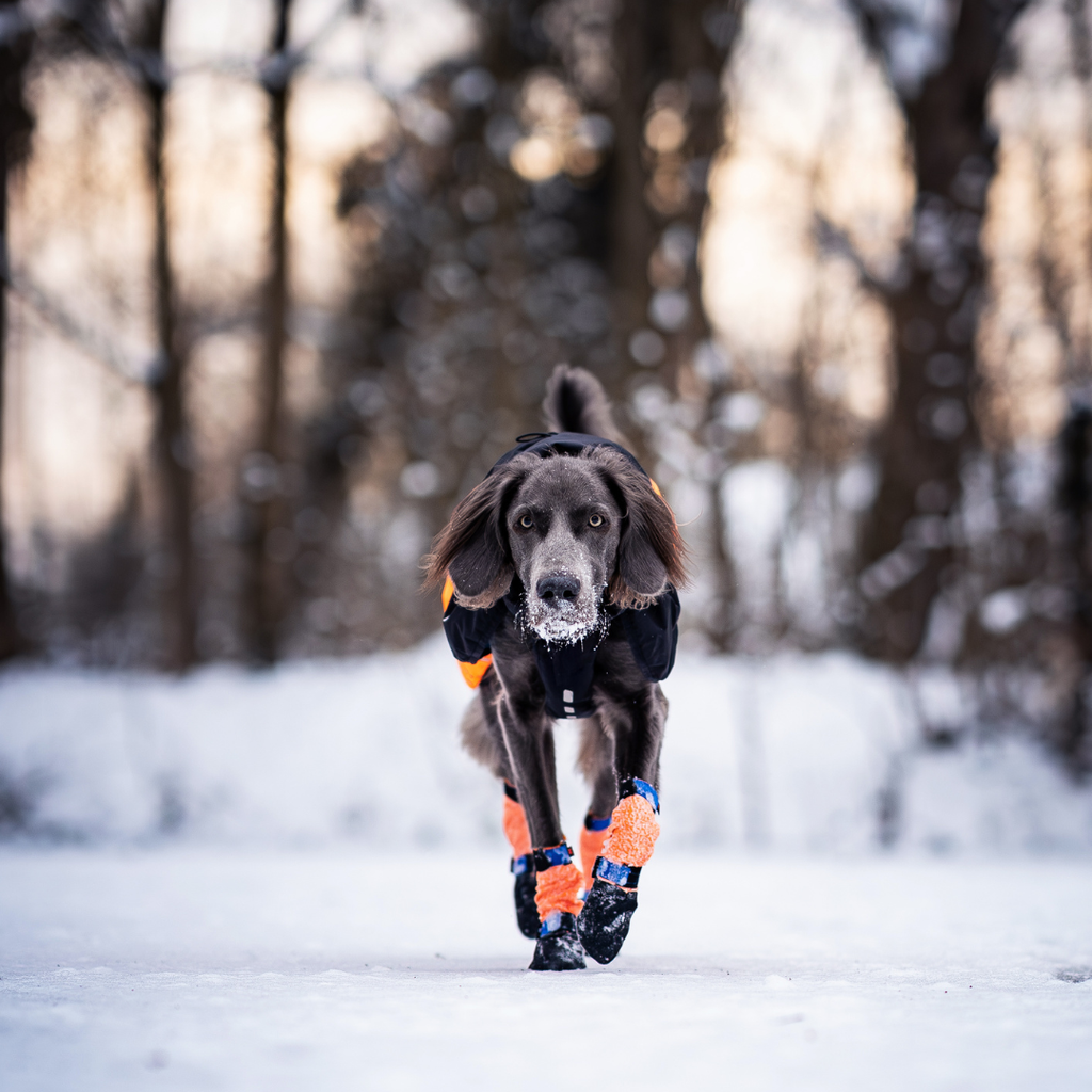 Non-Stop Dogwear Protector Bootie High (juego de 4)