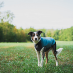 Non-Stop Dogwear Trail Quest Fleece Pullover