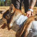 Ruffwear Swamp Cooler Neck Gaiter