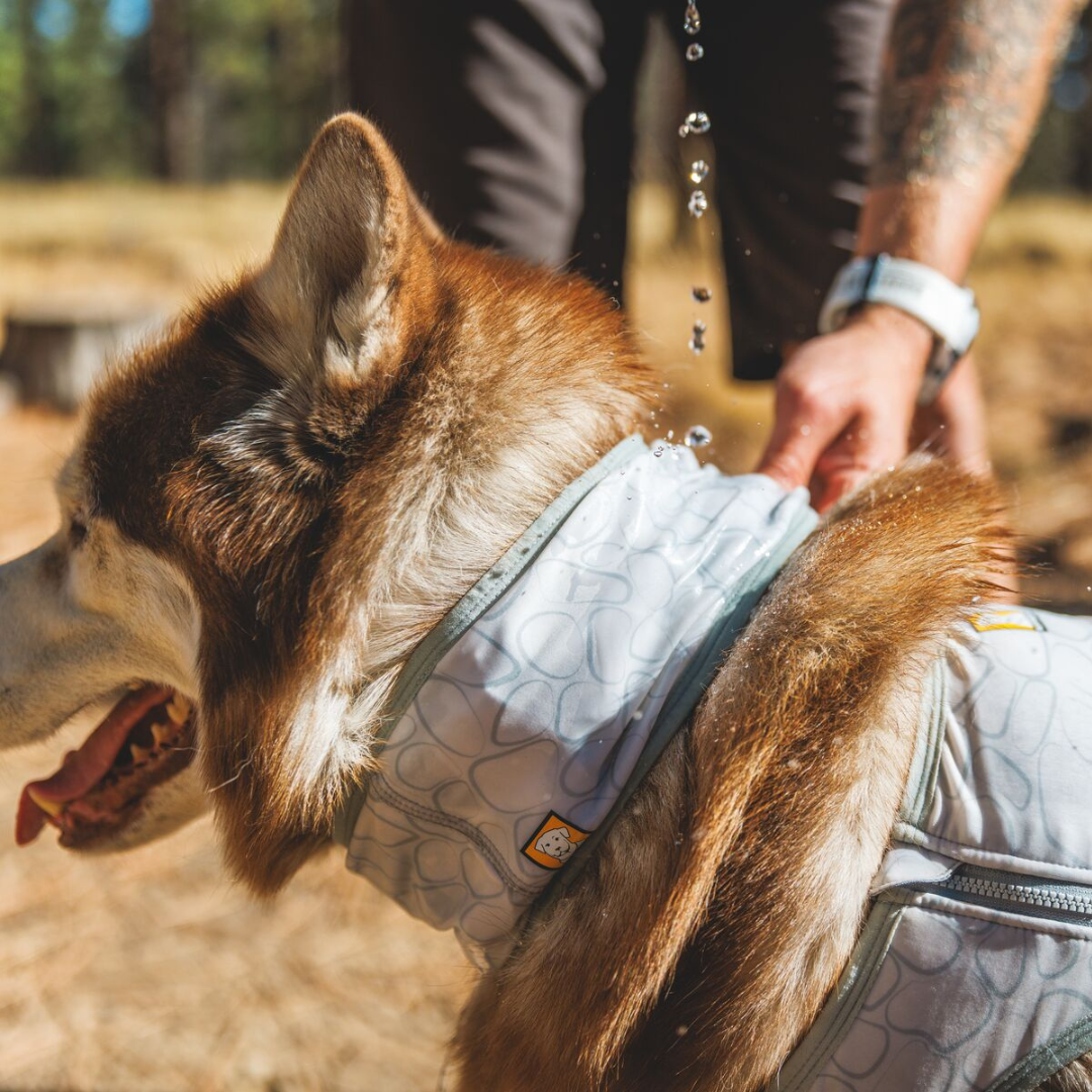 Ruffwear Swamp Cooler Neck Gaiter