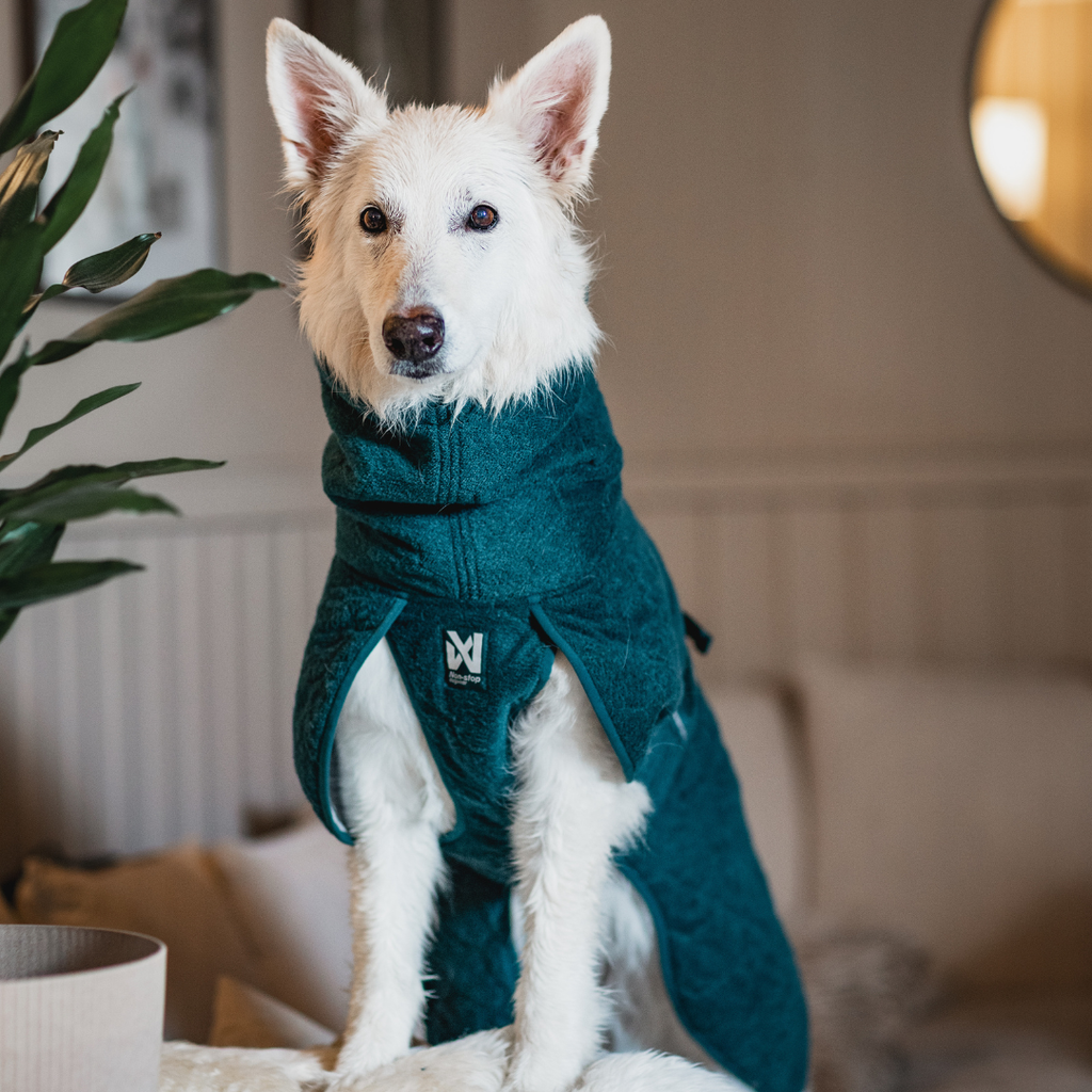 Non-Stop Dogwear Drying Coat