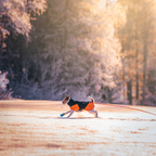 Non-Stop Dogwear Glacier Jacket 3.0