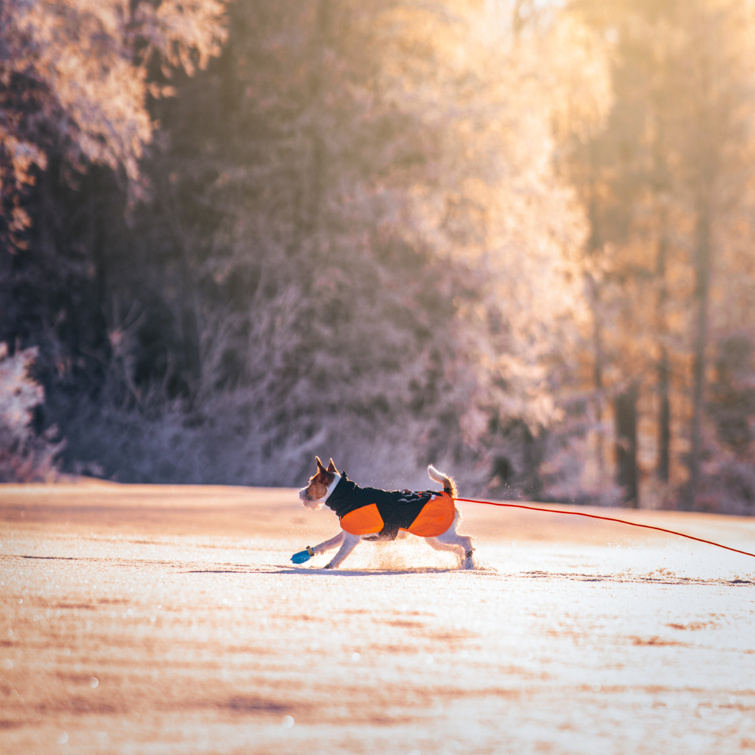 Non-Stop Dogwear Glacier Jacket 3.0