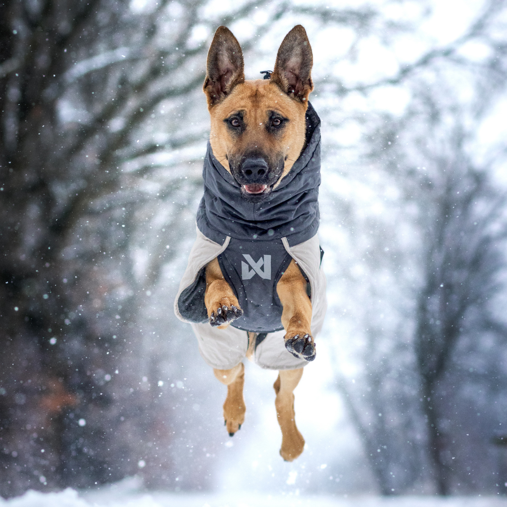 Non-Stop Dogwear Glacier Wool Jacket 3.0