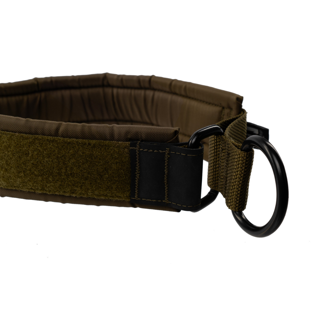 Non-stop Dogwear Solid Collar WD