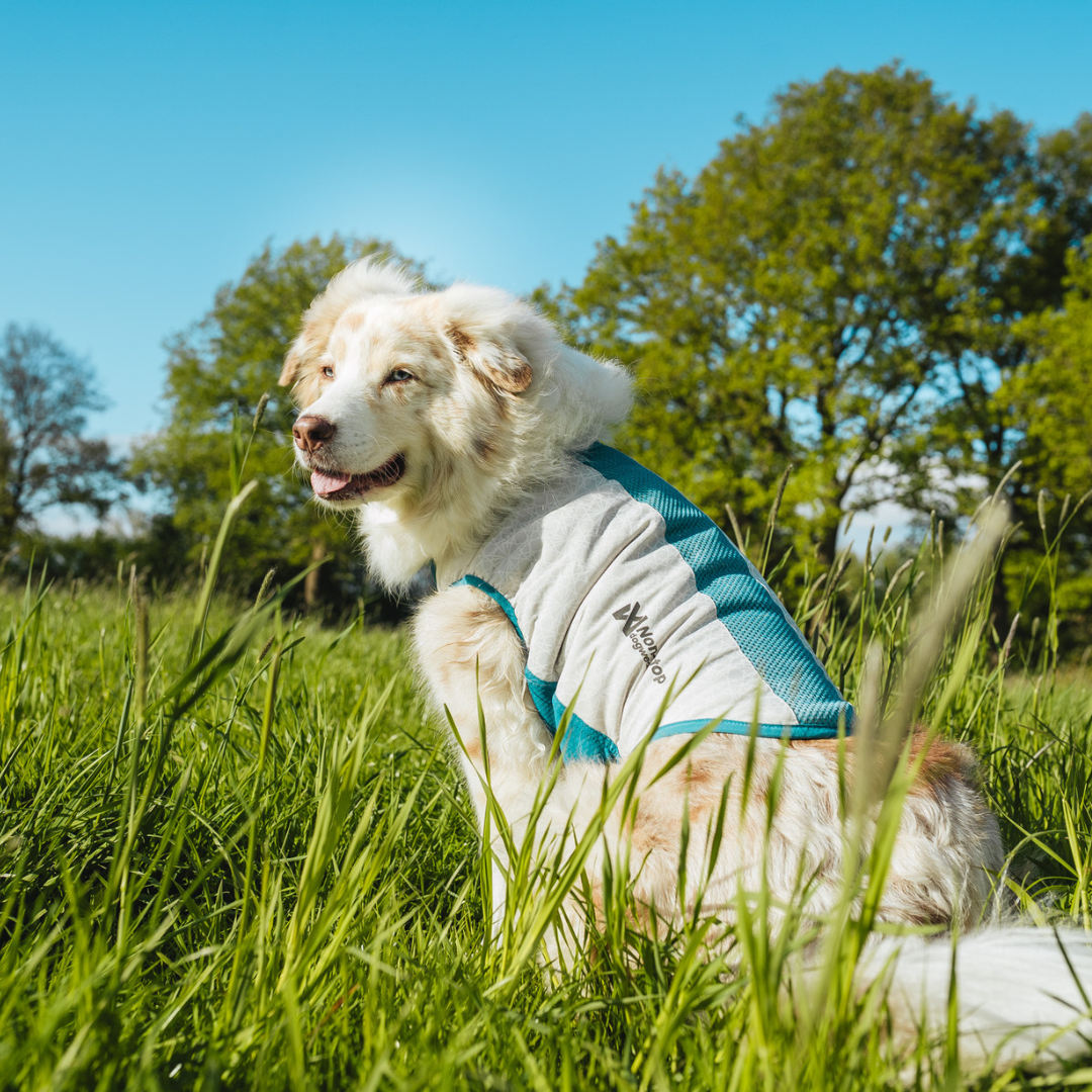 Non-Stop Dogwear Cooling Pull-on Vest