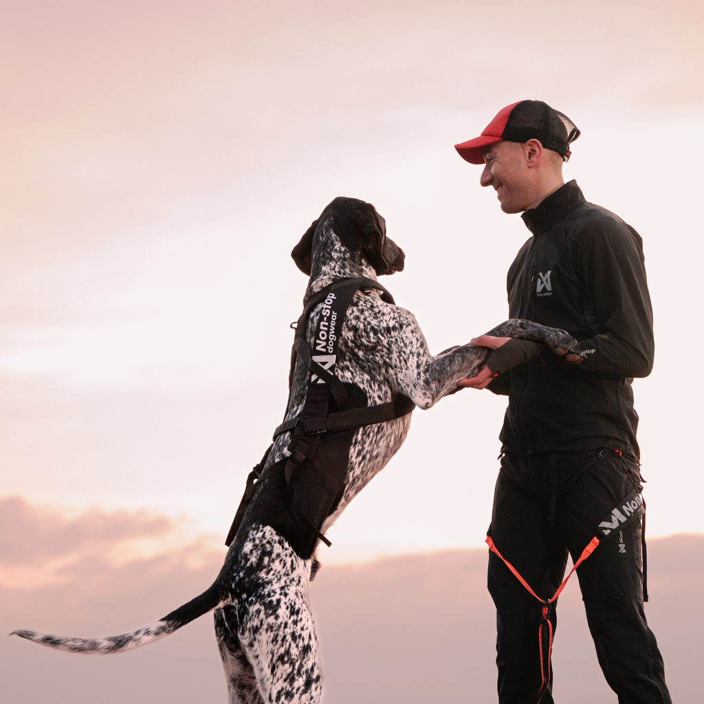 Non-Stop Dogwear Freemotion Harness Pro