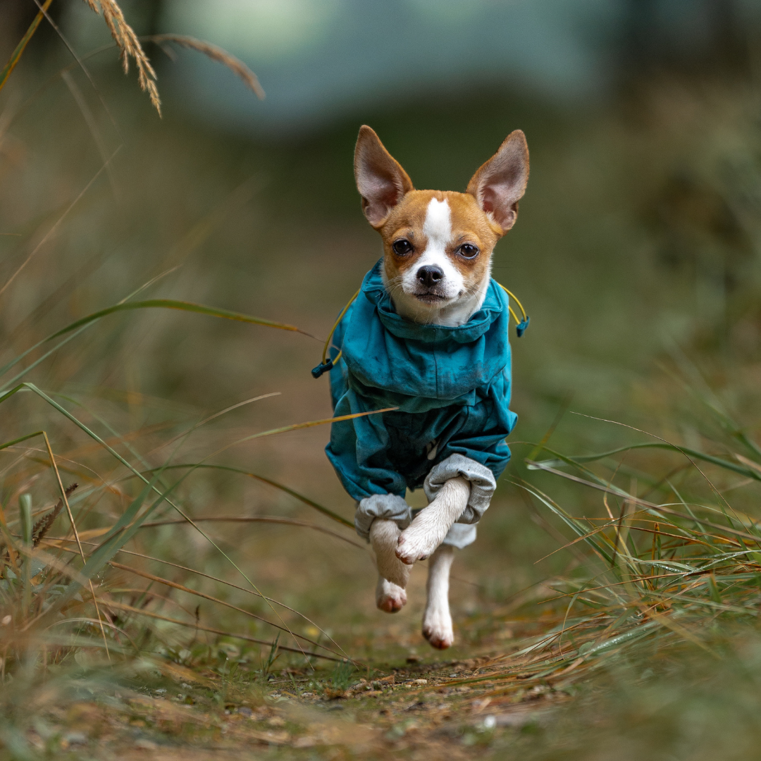 Non-Stop Dogwear Fjord Overall Raincoat
