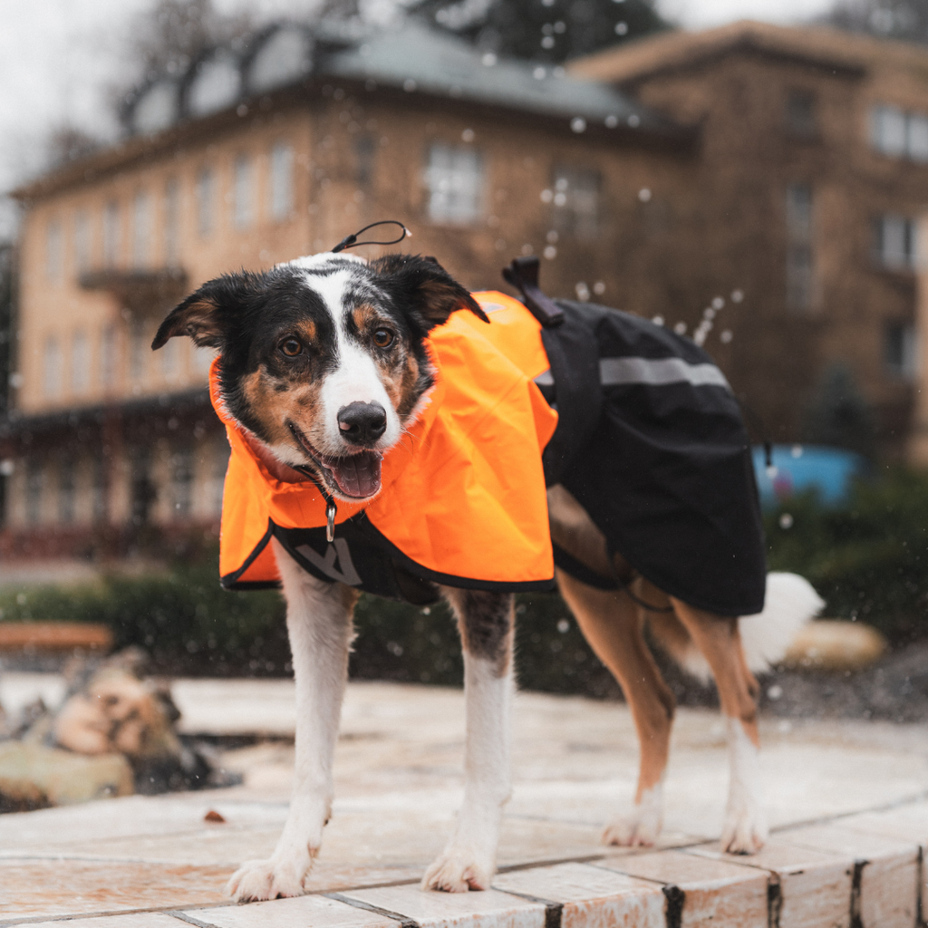 Non-Stop Dogwear Fjord Raincoat 2.0