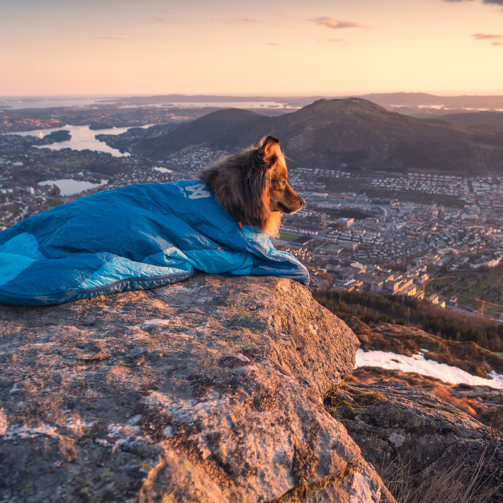 Non-Stop Dogwear Ly Sleeping Bag