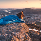 Non-Stop Dogwear Ly Sleeping Bag