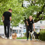 Non-Stop Dogwear Line Harness Grip