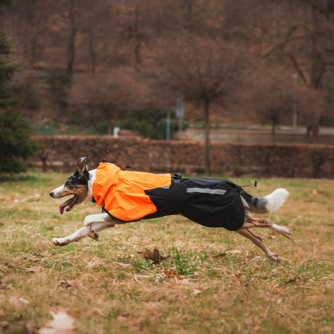 Non-Stop Dogwear Fjord Raincoat 2.0