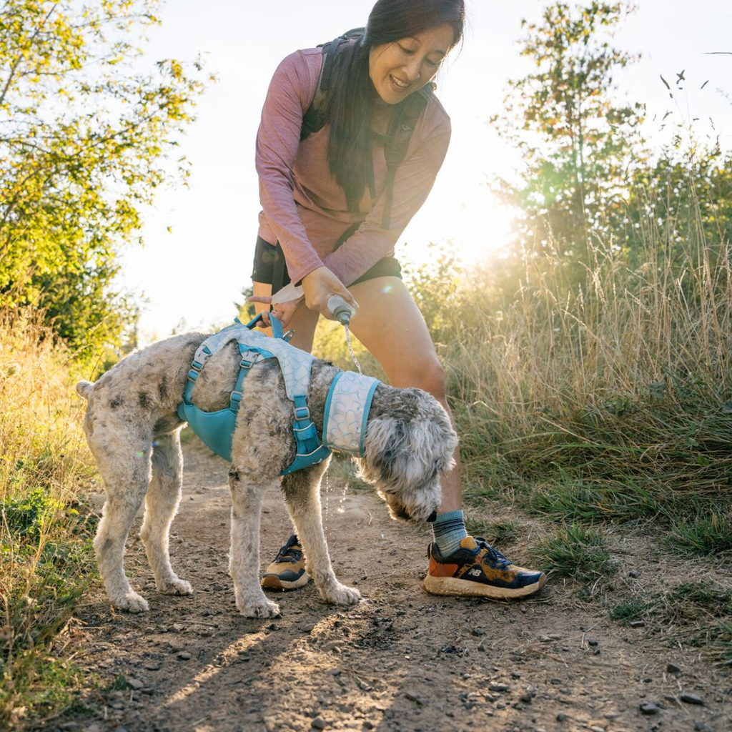 Ruffwear Swamp Cooler Neck Gaiter